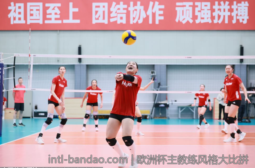 欧洲杯主教练风格大比拼